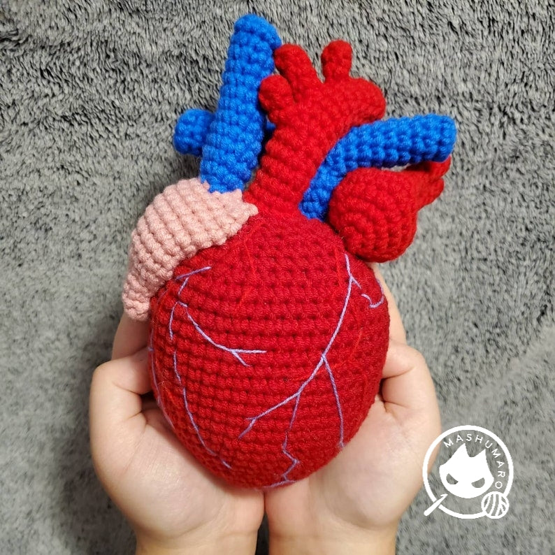 Realistic Actual Sized Anatomical Human Heart Plush